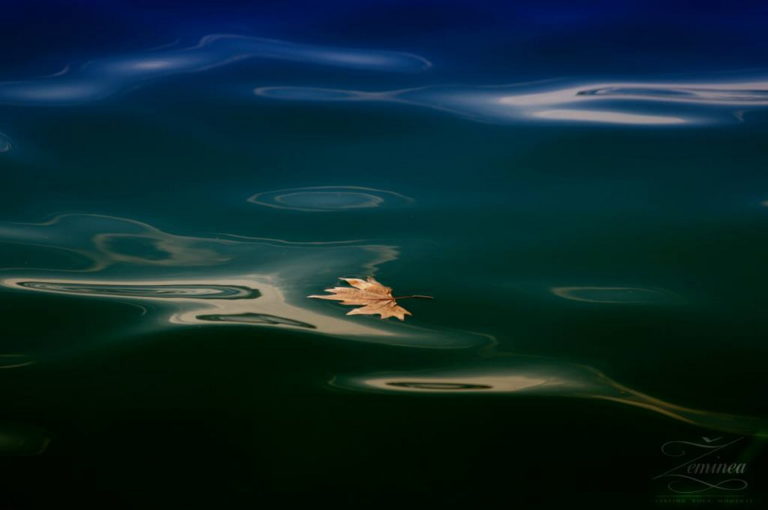 003_resize
